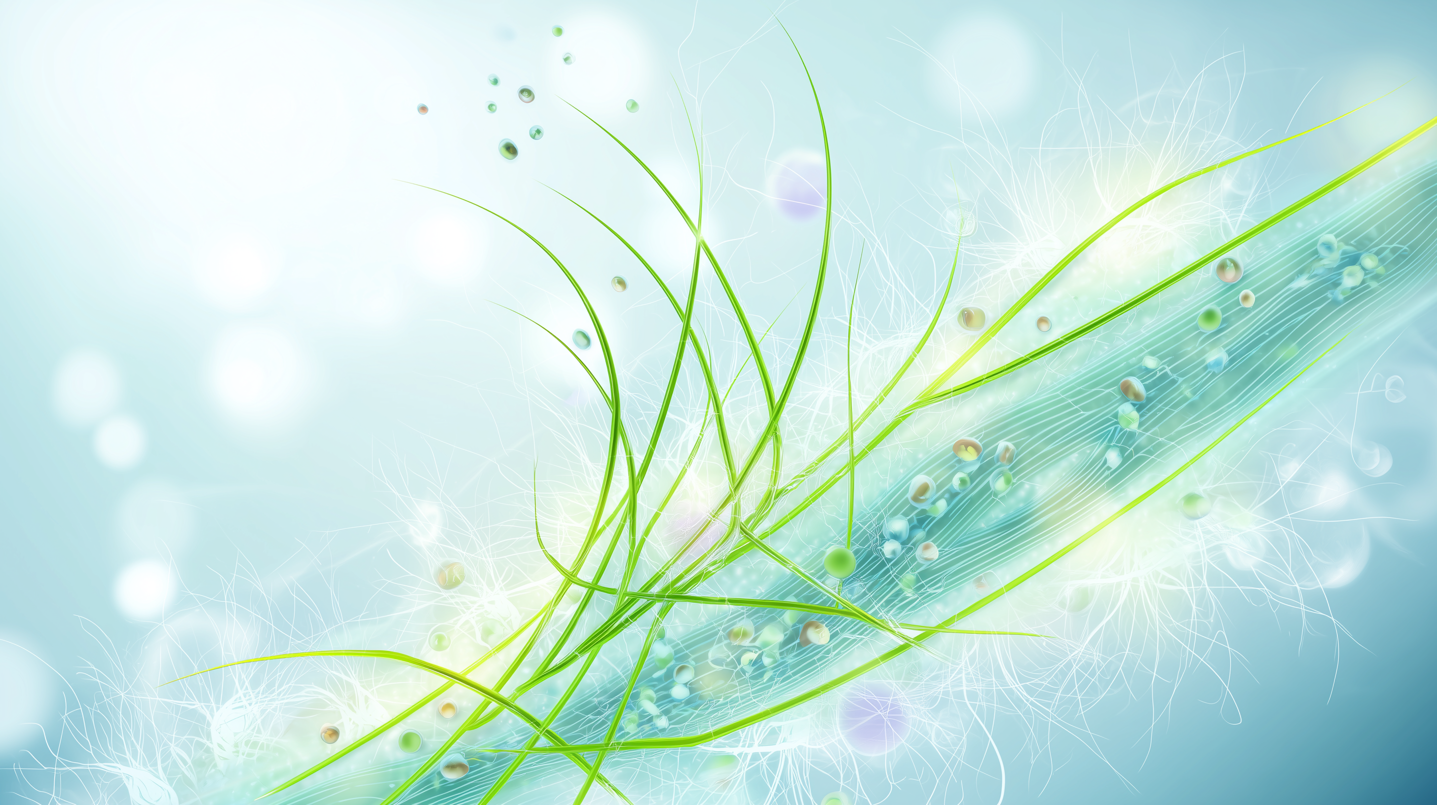 Präbiotische Pflanzenstoffe – wie Ballaststoffe wie Akazienfaser unsere Verdauung unterstützen