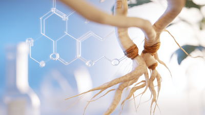 Adaptogene im Fokus – Warum Ashwagandha in der Forschung besondere Aufmerksamkeit erhält