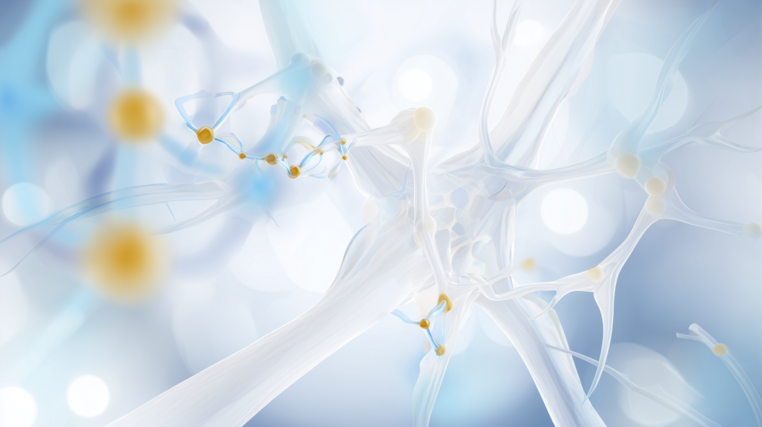 Das Zusammenspiel von Vitamin D3 und K2 – warum beide Vitamine nur gemeinsam ihr volles Potenzial entfalten