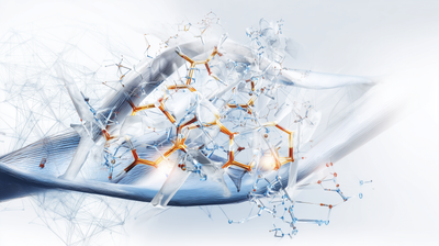 Aminosäuren im Sport – wie Glutamin, BCAA & Co. den Stoffwechsel beeinflussen