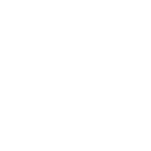 BlueVitality Logo png